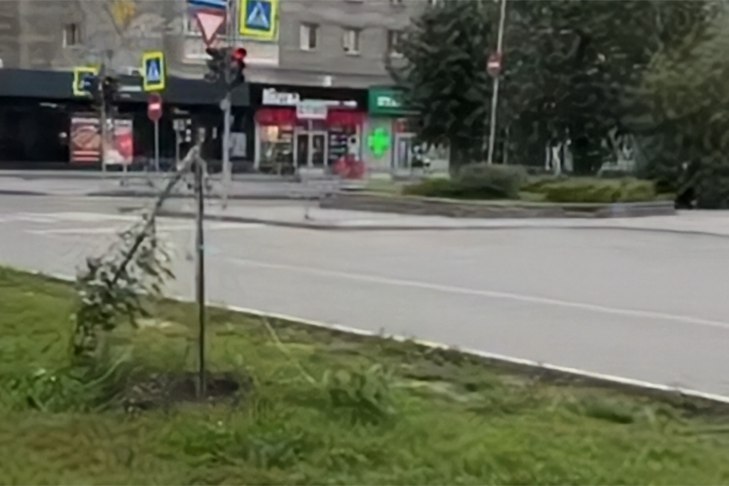 Вандалы уничтожили восстановленную липовую аллею в Новосибирске Неизвестные погубили молодые липы на аллее вблизи Центрального парка Новосибирска Липовую аллею на улице Ядринцевской восстановили только в июле 2025 года но молодые деревья не простояли и двух месяцев Подробнее ПРОИСШЕСТВИЯ Подписаться на канал VN ru Прислать свою новость в редакцию