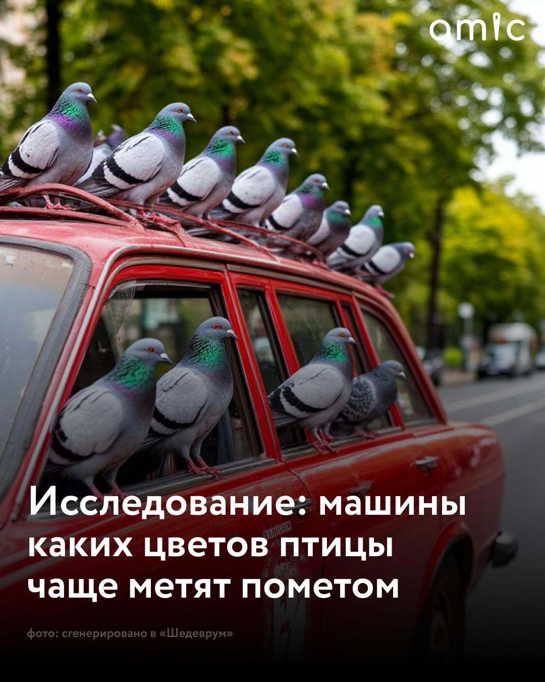 Какие машины птицы метят чаще выяснили в США Оказалось что пернатые фанаты автомобилей коричневых красных и чёрных цветов Они привлекали наибольшее нежелательное внимание в то время как для более светлых цветов таких как белый и серебристо серый оно оказалось ниже пишет Газета ru с ссылкой на исследовании компании Alan s Factory Исследователи опросили тысячу американских автовладельцев и также выяснили что чаще всего от нападок птиц страдают владельцы Lexus Tesla и Dodge 58 опрошенных признались что их машины метят более одного раза в день У 29 респондентов возникло ощущение что пернатые планомерно нацелились на их транспортное средство Как часто птицы метят ваш автомобиль Каждый день Раз в неделю Очень редко