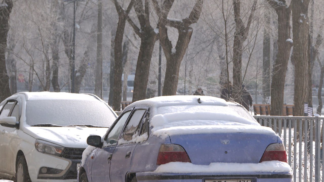 Автопарк в Волгоградской области поредел более чем на 20 в 2025 году Количество зарегистрированных машин в регионе сократилось с 1 123 миллиона до 862 9 тысячи единиц сообщает ТАСС со ссылкой на данные МВД России В топ 5 по численности легковушек Москва 4 191 миллиона Московская область 3 209 миллиона Краснодарский край 2 445 миллиона Санкт Петербург 1 888 миллиона и Татарстан 1 827 миллиона Подписаться Перейти на сайт MAX