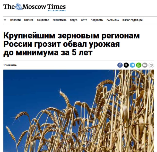 Зерновым регионам России грозит обвал урожая Ростовская область, Краснодарский и Ставропольский края соберут в этом году минимальный за 5 лет урожай зерна, прогнозирует Институт конъюнктуры аграрного рынка. Все три региона столкнулись с сильнейшей засухой, которая, по словам фермеров, бьет многолетние рекорды. Кремлёвская Стабильность - Наш VPN
