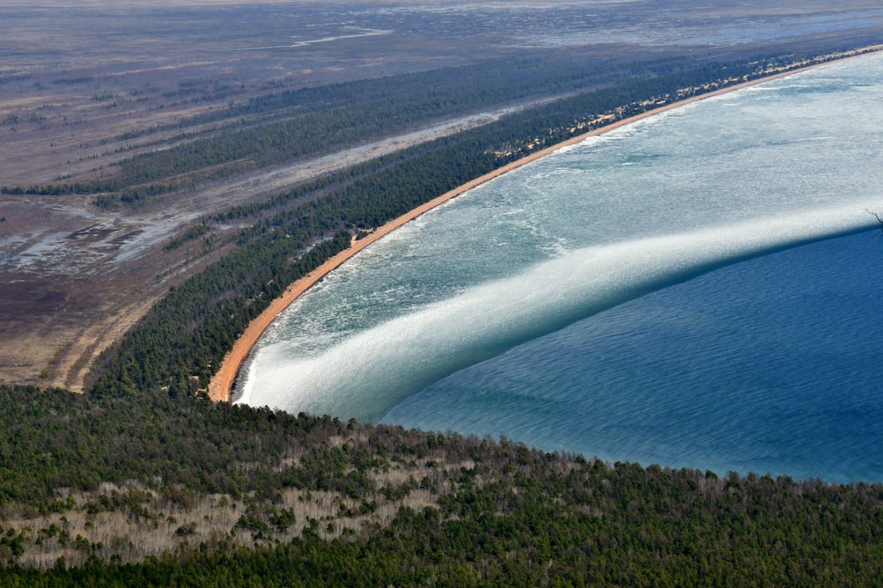 На Байкале ученые открыли 18 новых видов растений на Чивыркуйском перешейке Впервые за 34 года на перешейке провели флористическое исследование Ученые выяснили что природное место отличается очень богатым биологическим разнообразием При этом наблюдается выраженное антропогенное воздействие Так из 18 видов растений лишь 4 являются местными Остальные виды чужеродные растения представляющие опасность для экосистемы озера Остальные 14 видов растений попали на перешейк в основном из за деятельности человека в последние 34 года Такое наступление зеленых пришельцев вызывает у ученых особую тревогу чужеродные растения которые не просто выживают но активно внедряются в естественные экосистемы леса луга болота вытесняют коренных обитателей и трансформируют среду Байкала сообщили в пресс службе фонда Озеро Байкал По словам ученых наличие такого количества чужеродных растений вызывает у них особую тревогу Добавим что во время исследования специалисты также отметили и положительные моменты в целом природа перешейка пребывает в относительно благополучном состоянии Фото архив фонда Озеро Байкал   IrkutskMedia теперь в МАX