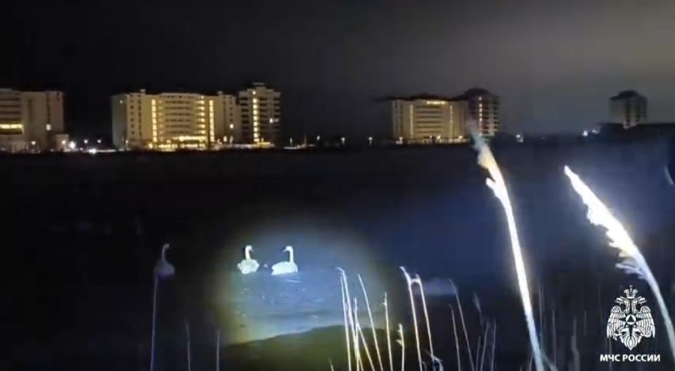 Спасательная операция МЧС лебедей на озере Сасык Сиваш проверьте факты перед тревогой Сотрудники МЧС России получили информацию о возможной опасности для семьи лебедей на озере Сасык Сиваш в Крыму В мессенджерах и соцсетях также в течение дня расспространялась информация о погибающих белых птицах сообщили в пресс службе ГУ МЧС по Крыму Однако прибывшие спасатели установили что лебеди вовсе не были примерзшими ко льду и находились в полной безопасности Это событие напоминает нам о важности проверки фактов и внимательности при оценке ситуации Иногда вмешательство человека может оказаться ненужным и природа сама справится с возникающими трудностями отметили в МЧС Подробнее