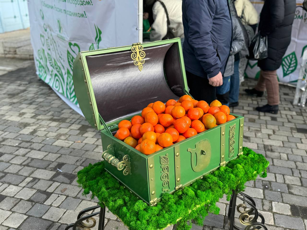 Более 500 кг мандаринов очистили в Железноводске на чемпионате  Соревнования проводятся уже второй год подряд. В индивидуальном зачёте по очистке мандаринов победила жительница Зеленокумска Асият Махмудова. Семья Надежды Русановой из Железноводска стала первой в семейной номинации. В заключение программы участников поздравил Казачий Дед Мороз.  Фото: Telegram-канал Евгения Бакулина