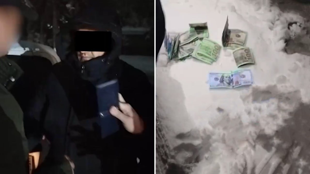 В Ташобласти при получении взятки задержан глава районного отдела Управления экологии видео За 3 тыс чиновник обещал выдать разрешение на вырубку многолетних деревьев для застройщика   uznews uz ru news 106942 uznews