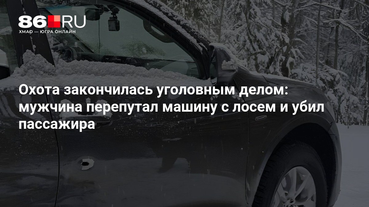 Охота закончилась уголовным делом мужчина перепутал машину с лосем и убил пассажира Трагедия произошла в Ленобласти   86 ru text incidents 2026 01 06 76206713