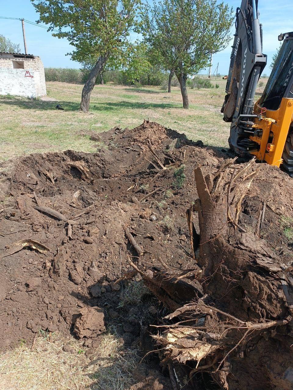 Адыгея начала строительство спортплощадки в Вольновской школе  В рамках шефской поддержки Херсонской области специалисты из Адыгеи приступили к строительству современной спортивной площадки на территории Вольновской школы Нижнесерогозского муниципального округа.  Сейчас идут активные подготовительные работы, включающие расчистку территории от старых деревьев, демонтаж непригодного спортивного оборудования, тщательную планировку территории будущего объекта, земляные работы по подготовке основания.  На площадке задействованы две единицы спецтехники, шесть специалистов. Планируется укладка прорезиненного покрытия, обустройство футбольного поля, установка комплекса с силовыми тренажерами. Новый спортивный объект создаст комфортные и безопасные условия для физического развития школьников, позволит проводить уроки физкультуры на современном уровне.