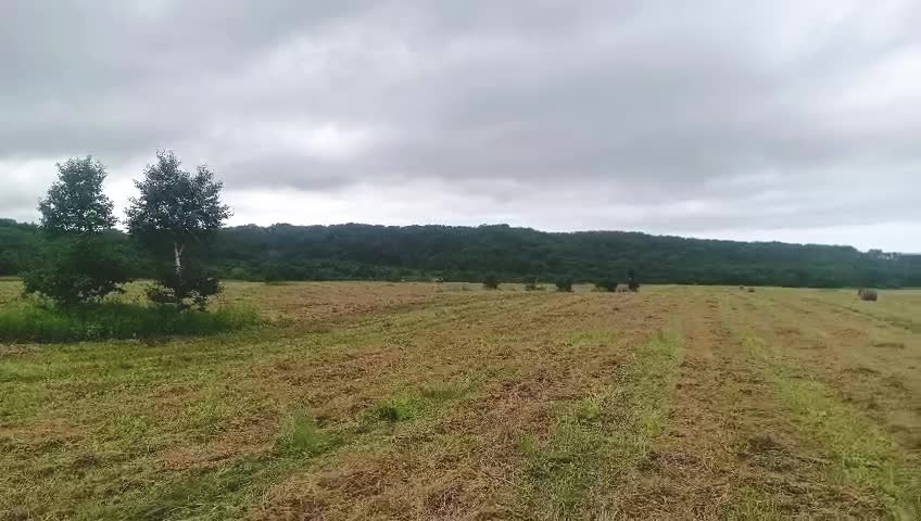 Заготовка кормов в Елизовском районе Камчатки продолжается