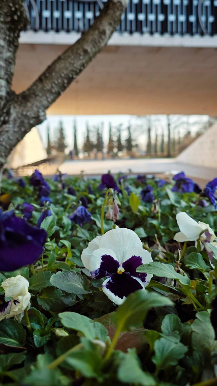 В Краснодаре обновился температурный рекорд Вчера в Краснодаре воздух прогрелся до 15 1 что на 0 1 выше чем было в этот день в 2021 году 15 0 Сегодня в городе синоптики обещают дождь и понижение температуры к вечеру 9 января столбик термометра опустится до 4   свои фото видео и истории присылайте нашему боту prostokrd bot Подпишись на наш канал в Telegram MAX