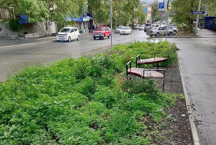 «Вывезли КАМАЗ травы». На улице Журавлёва заросла клумба, которую в мае высаживали общественники. Часть цветов предоставил депутат думы Читы, предприниматель Валерий Сугоров. Вместо цветов — трава по пояс. Ольга Вильская, владелица сети «Фирменный Нерчинский», рассказала , что сорняки уже убрали: Мы реально вывезли КАМАЗ травы. Грунт дали городской, сырой, поэтому пошли сорняки. Клевер вырос не везде, часть семян склевали птицы. А уход и полив почему-то упал на нас. Она отметила, что при высадке цветов появились недовольные местные жители, которые были уверены, что пространство станет местом притяжения некультурной молодежи: Вы хоть одну лавочку и зеленый уголок по Журавлева видели? Ничего же нет, одни карманы парковочные. При этом несколько жителей противились. Но мы посадили и ухаживаем, исходя из бюджета. Не всё, что посадили, хорошо прижилось — то жара, то ливень. Но мусора нет, компаний шумных тоже. И неплохо бы было, если бы жильцы домов ближайших приняли хоть какое-то участие. Фото от очевидцев Подписаться