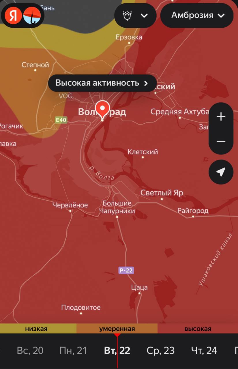 Красный уровень концентрации пыльцы объявлен в Волгограде Наблюдается пик активности цветения сорных трав. Сегодня в Волгоградской области отмечается высокая активность амброзии и сорняков и полыни. Такая ситуация сохранится до конца недели. События по-волгоградски #по_волгоградски