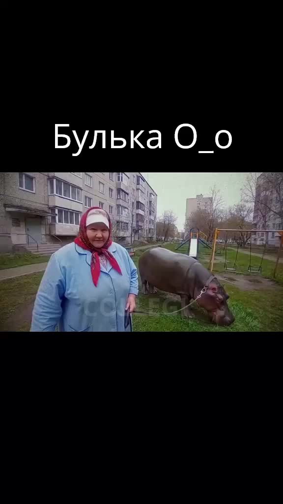 Виртуальный бегемот стал другом российской пенсионерки благодаря ИИ