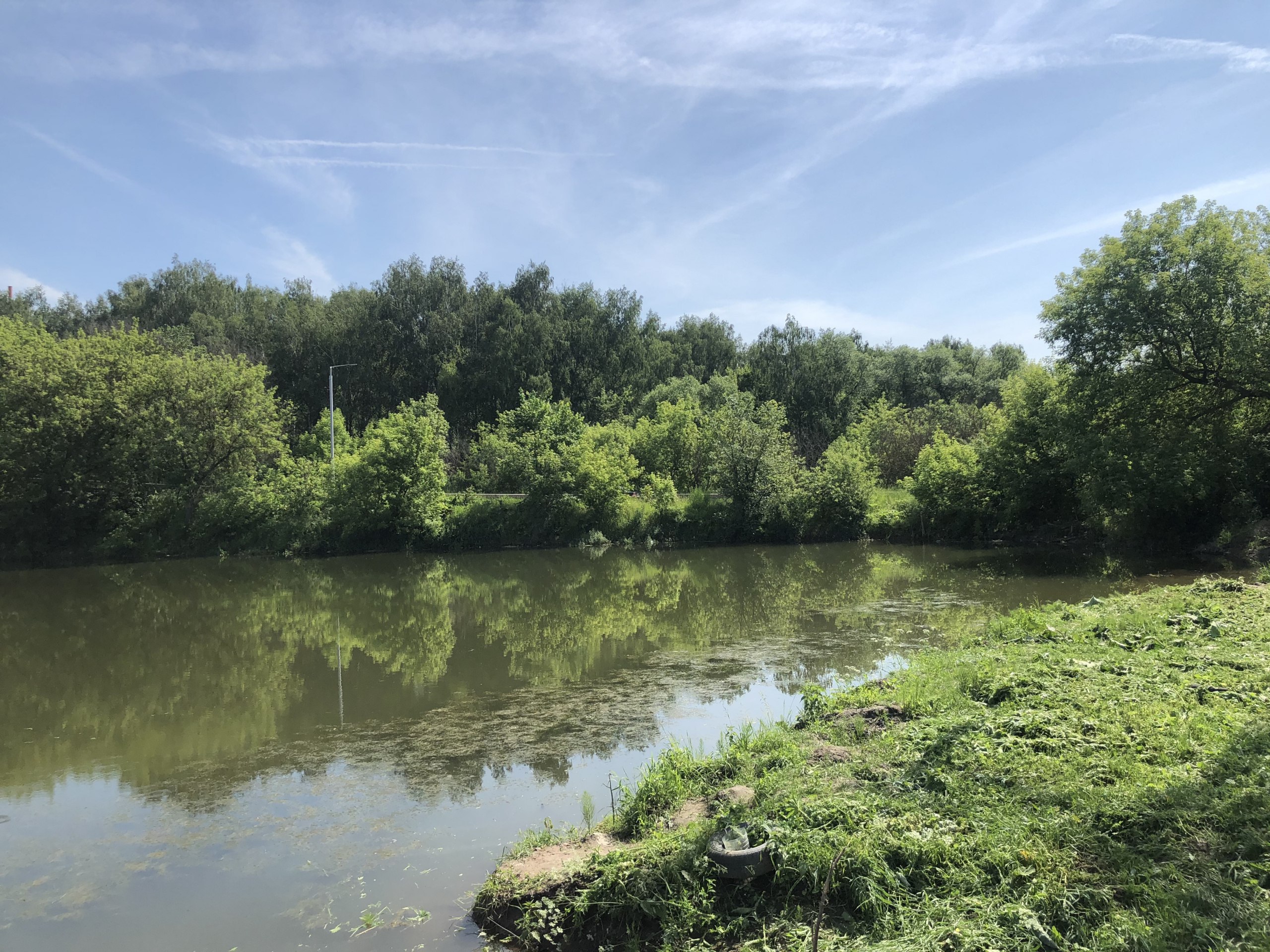 Губернатор Цыбульский рассказал о сотрудничестве РФ и КНР в освоении лесных ресурсов Архангельская область обладает огромными лесными ресурсами которые являются основой для развития деревообрабатывающей и целлюлозно бумажной промышленности Экономика