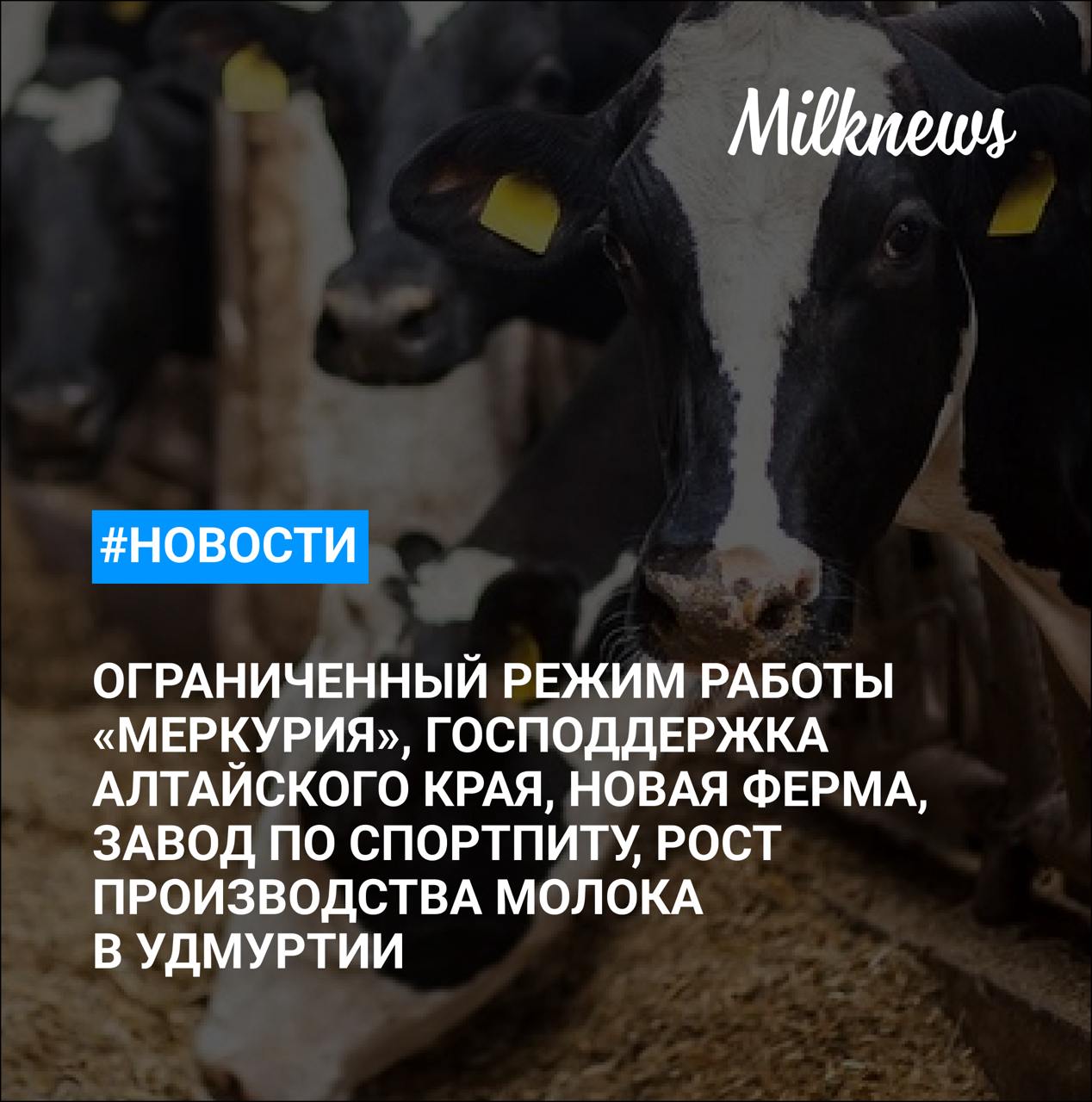 РСХН восстановил работу «Меркурия» в ограниченном режиме В молочную отрасль Алтайского края планируют вложить 33 млрд руб. «АгроВит» построит ферму за 2 млрд руб. в Ивановской области «Вологодская маслодельная мануфактура» построит завод по производству спортивного питания за 1,1 млрд руб. Производство молока в Удмуртии выросло на 4,7% в январе-мае