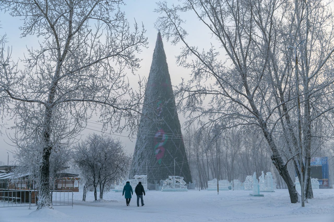 Новогодняя елка на кольце Предмостной площади обойдется Красноярску в один миллион рублей  Судя по порталу госзакупок, работы заказывает муниципальное предприятие «Красноярскгорсвет».  В высоту праздничное дерево составит около 14 метров. Поверх искусственной елки повесят украшения: 170 шаров и гирлянду. На вершину поставят большую светодиодную снежинку. Простоит конструкция больше месяца — убрать ее планируют до 25 февраля 2025 года.