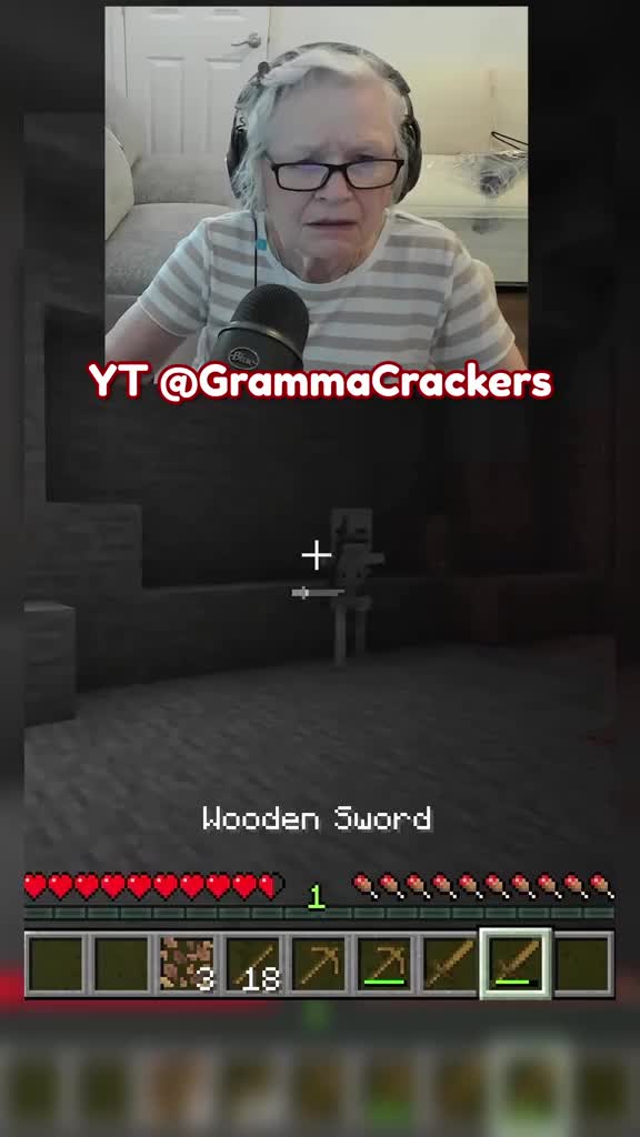 81-летняя бабушка из США стала звездой YouTube, стримя Minecraft для лечения внука