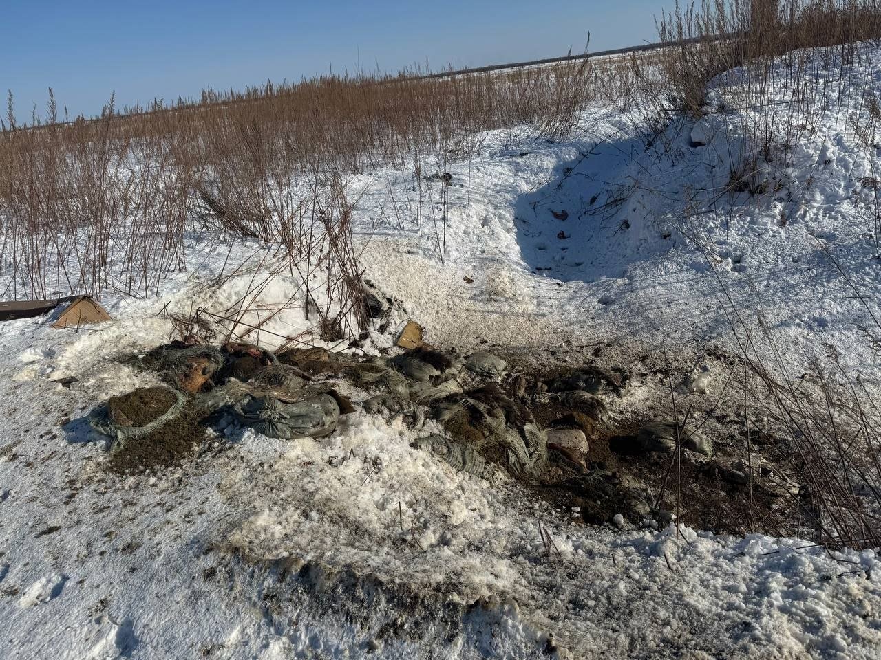 ‍  Очередная свалка потрохов под Хабаровском вызывает справедливые вопросы у местных  По дороге в село Мичуринское, рядом с Виноградовкой и рекой Амур, кто-то устроил настоящий «праздник жизни» — разбросал биоотходы — кишки и шкуры баранов. Экоинспектор, гуляя по окрестностям, нашёл аж три свалки, и все они, как на зло, рядом друг с другом. Кто решил избавиться от останков скотины — загадка. Но мужчина не растерялся и собирается довести дело до прокуратуры, ведь эта «ароматная» масса может запросто попасть в воду и почву.    А вот Хабаровская природоохранная прокуратура уже подключилась. Они вместе с ОЭД «Защита природы» устроили выездную проверку и действиутельно обнаружили эти «сюрпризы». Теперь будут разбираться, кто тут главный по мусору, и накажут всех, кто нарушил закон.  Фото:      AmurMedia   Прислать новость