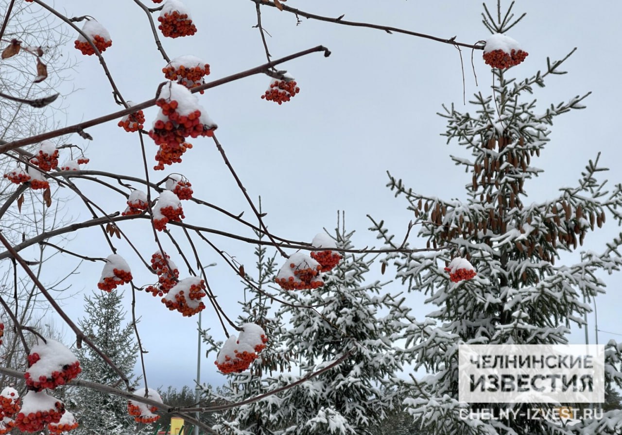 В новогоднюю ночь жителям Татарстана обещают бодрящий мороз  Декабрьская погода очень неустойчива: циклон с Атлантики принес осадки, к выходным ожидается понижение температуры, а потом снова повышение.  Предварительно, до 20 декабря температурный фон будет выше нормы. Как сообщает профессор КФУ Юрий Переведенцев, первая декада декабря оказалась примерно на два градуса теплее климатической нормы.  Декабрь будет снежным  в Москве высота снежного покрова уже достигает 30 сантиметров . А в новогоднюю ночь, по долгосрочному прогнозу погоды, метеорологи обещают бодрящий мороз, но в пределах климатической нормы.