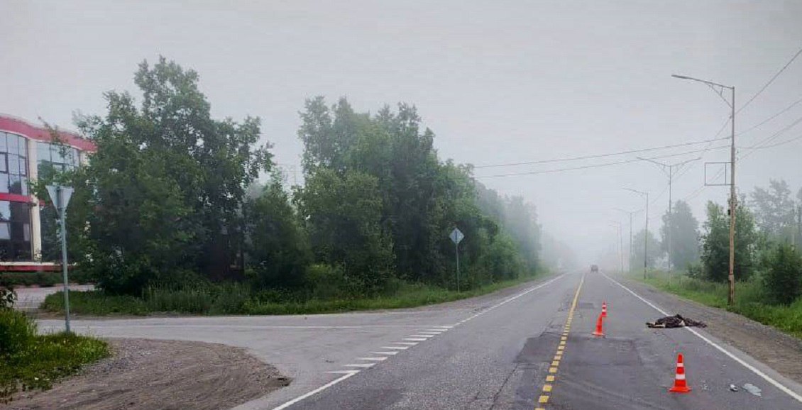 В Елизове под утро автомобилист насмерть сбил пешехода и скрылся В камчатском городе Елизово около 4 часов утра неизвестный на машине насмерть сбил человека. Госавтоинспекция ищет виновников и возможных свидетелей смертельного ДТП. Нажмите для подробностей -
