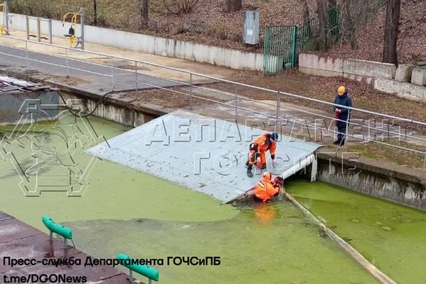 Московские спасатели вытащили собачку, которая упала в воду в Кожуховском затоне  Маленькая собачка, гуляя с хозяйкой, решила, что ряска на воде — это трава, и выбежала на акваторию. В результате она провалилась и начала тонуть.    К счастью, начальник станции «Кожухово» заметил бедственное положение животного и вызвал дежурную смену спасателей. Специалисты быстро прибыли на место и в считанные минуты вытащили собаку из воды, не дав ей пострадать.