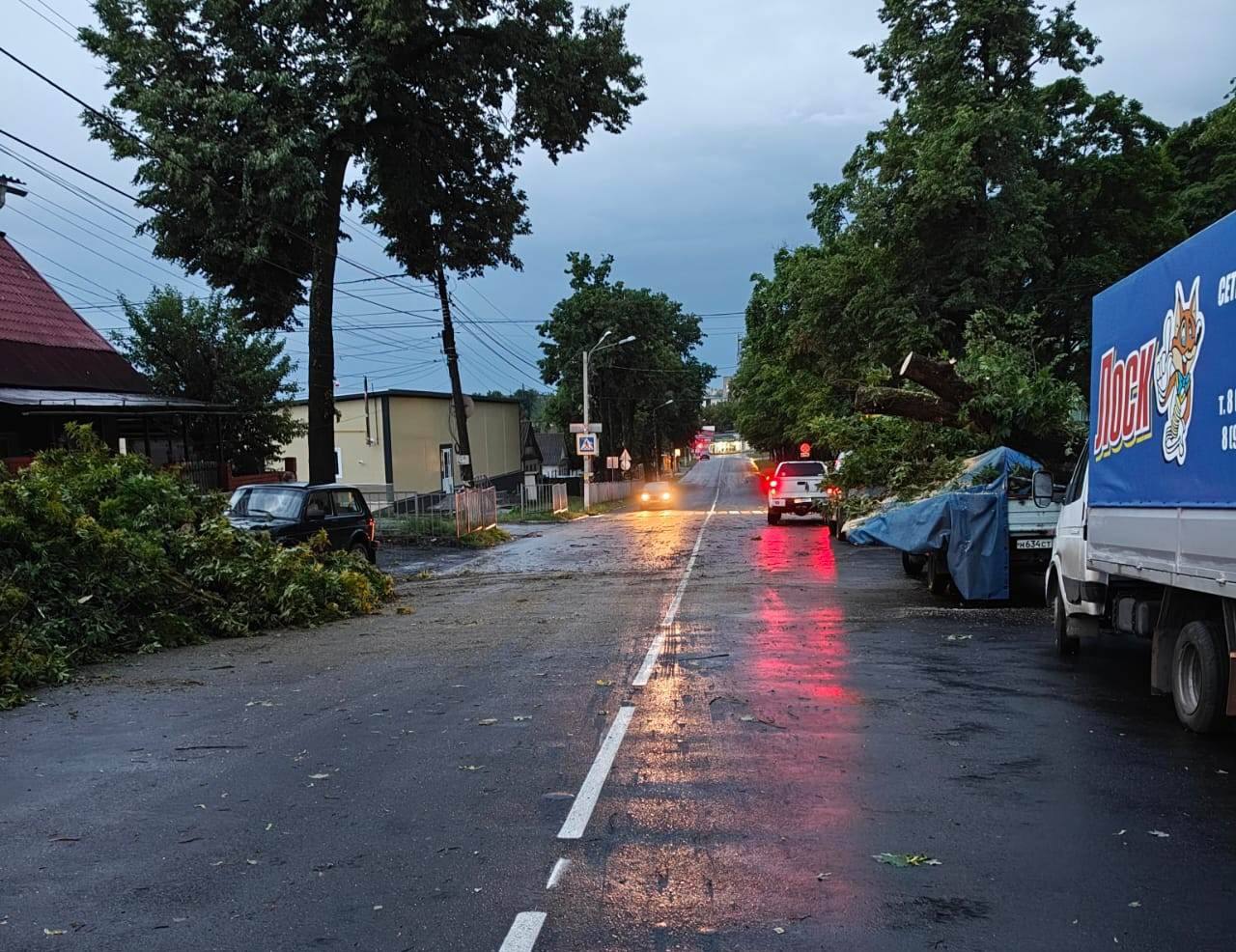 В Железногорске ураган повалил несколько деревьев и оборвал провода. Дежурные бригады Городской коммунальной службы, аварийно-спасательные формирования Управления ГОиЧС и энергетики работают по устранению последствий. В Курске аварийное отключение электроснабжения произошло на улице Белгородская, частично нет света на Обоянской и Харьковской. Аварийная бригада Курских электрических сетей приступила к осмотру оборудования в трансформаторной подстанции. Абоненты будут переведены на резервную линию, после чего продолжатся ремонтные работы.