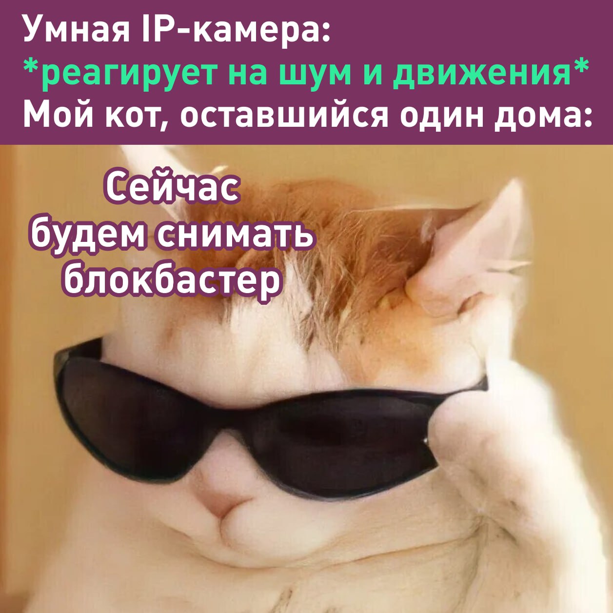 У Яндекса вышла умная IP-камера — она транслирует видео онлайн, сообщает о разных событиях и записывает всё на карту памяти или в облако. При этом у неё есть ночной режим и поворотный механизм, а управлять ей и смотреть трансляцию можно в прямо приложении А что ещё случилось?