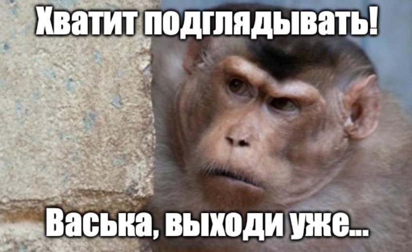 Заглядывать в окна теперь почти как преступление можно получить до пяти лет Юрист Екатерина Нечаева объяснила Абзацу что соседи которые регулярно высматривают вас через окна рискуют подпасть под статью за вмешательство в частную жизнь Виновнику может грозить лишение свободы до пяти лет и штраф до 200 тысяч рублей Не важно бинокль он использовал или просто стоял у окна ответственность все равно будет подчеркнула юрист Доказательства простые сфоткали или сняли на видео любопытных приложили к заявлению А если их находки еще и утекут в Сеть наказание станет серьезнее   Подпишитесь на Абзац TG VK Дзен MAX Rutube