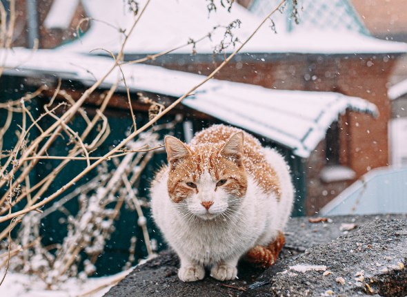 Режим повышенной готовности ввели в Иркутской области из за непогоды Губернатор Приангарья подписал соответствующий указ Читать подробнее на сайте