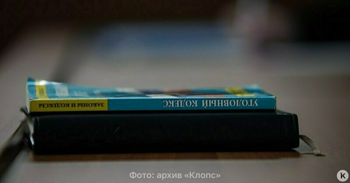 В России зафиксирован рекордный ущерб от экономических преступлений Ущерб от преступлений экономической направленности в РФ за 11 месяцев 2025 года составил более 316 млрд рублей Это является максимумом за последние годы сообщает в четверг 1 января ТАСС со ссылкой на материалы МВД России По сравнению с январем ноябрем 2024 года на 1 1 увеличилось число преступлений экономической направленности выявленных правоохранительными органами Всего выявлено 101 6 тыс преступлений данной категории Материальный ущерб от указанных преступлений составил 316 1 млрд рублей отмечается в публикации