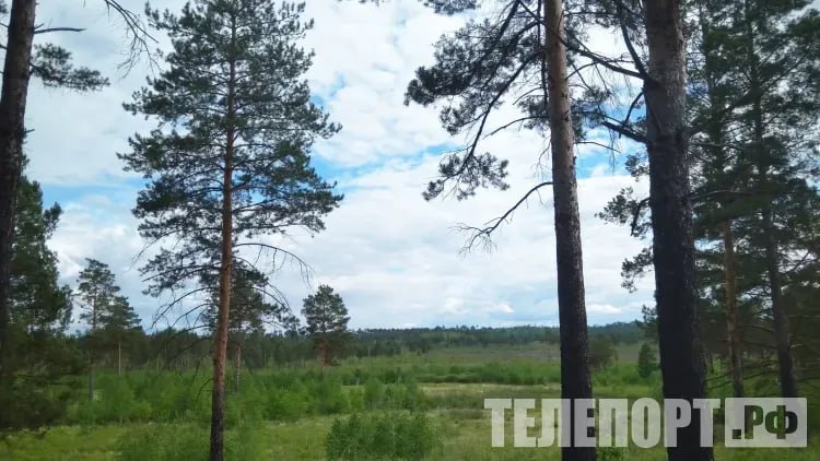 Ограничение на посещение лесов продлил Минлесхоз Приамурья Минлесхоз Амурской области продлил ограничение на посещение лесов Благовещенска, Свободного, Архаринского, Благовещенского и Свободненского округов. Также ограничение действует в отношении лесов, расположенных на землях лесного фонда. Оно распространено на лесные участки Архаринского, Благовещенского и Свободненского лесничеств. Ограничение действует до 19 мая включительно, сообщается в приказе Минлесхоза на сайте правовой информации. В документе сообщается, что мера введена "в связи с ухудшением пожароопасной обстановки в Амурской области и в целях предупреждения пожаров". Ограничено пребывание людей в лесах и въезд в них транспортных средств, а также проведение в лесах определенных видов работ. Как и ранее, ограничения не распространяются на: представителей власти и сотрудников учреждений, задействованных в тушении лесных пожаров и надзорных мероприятиях; граждан, направляющихся через лесные массивы по автодорогам общего пользования в оздоровительные учреждения, организации отдыха детей и их оздоровления, на базы отдыха и турбазы, на садоводческие, огороднические и дачные некоммерческие объединения; другие категории людей. Полный список опубликован в приказе. ТЕЛЕПОРТ.РФ – здесь все об Амурской области Написать нам