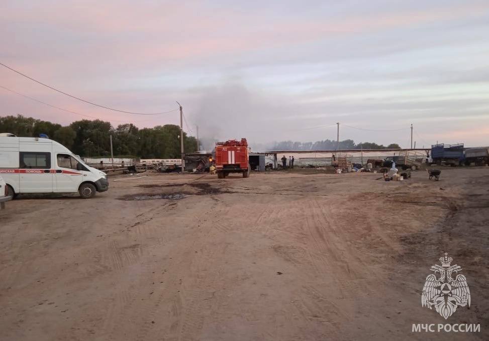 Пожар в Илекском районе унес жизни 5 человек На территории животноводческой фермы в селе Песчаное загорелись строения на 120 квадратных метрах. При тушении пожарные МЧС России обнаружили тела 5-ти погибших, их личности устанавливаются. С огнем боролись 13 специалистов и 6 единиц техники МЧС России. Предположительная причина пожара неосторожность при курении.