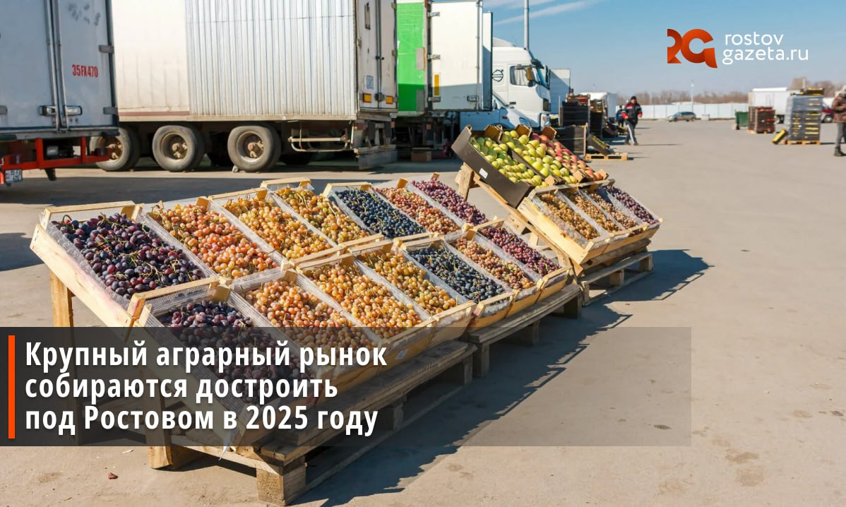 До конца 2025 года в Аксайском районе обещают запустить крупный рынок с фруктами и овощами. Информация об этом опубликована в реестре инвестпроектов на сайте регионального правительства. Проект «Агро Молл» находится в разработке с 2021 года, он входит в «губернаторскую сотню» — региональный топ приоритетных проектов. Инициатором крупного рынка выступает строительная компания ООО «Вертикаль», существующая уже порядка 15 лет. По плану в «Агро Молле» планируют открыть более двух тысяч рабочих мест. В строительство инвестировано 2,5 миллиарда рублей. Подписаться Прислать нам новость