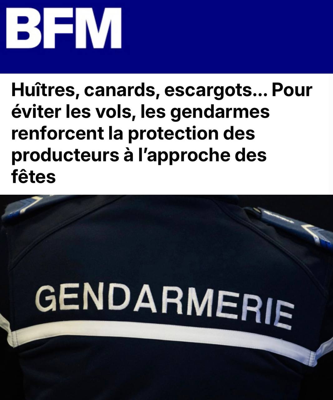 Улиток уток и устриц берут под охрану во Франции Причина кражи перед Рождеством Воры крадут у производителей деликатесы чтобы потом выгодно их сбыть Для охраны ферм власти привлекли жандармов на мотоциклах и лошадях а также морскую бригаду
