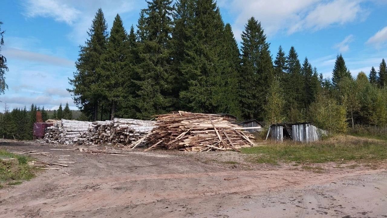 Жук-полиграф атаковал еще три округа Пермского края. В лесах Куединского, Кишертского и Сивинского округов специалисты выявили очаги распространения опасного для хвойных деревьев вредителя — уссурийского полиграфа. Площадь поражения составила более 145 тыс. га. В связи с этим Россельхознадзор установил на данных территориях карантинные фитосанитарные зоны, сообщает ведомство. От насекомого пострадали: лесничества Куединское, участки вблизи деревни Дойная, сел Большие Кусты, Ошья, Верхняя Сава, Старый Шагирт и др. Карантин призван исключить дальнейшее распространение заболевания деревьев.