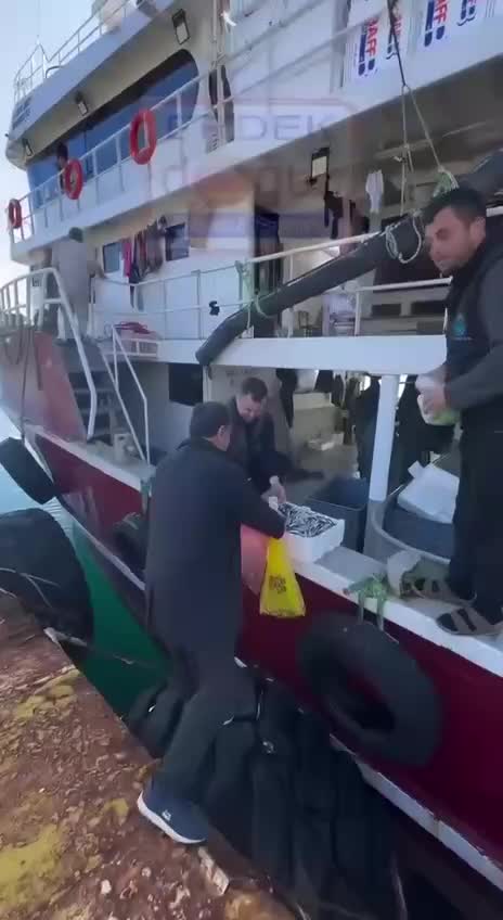 Рыбаки Балыкесира протестуют, раздавая рыбу бесплатно