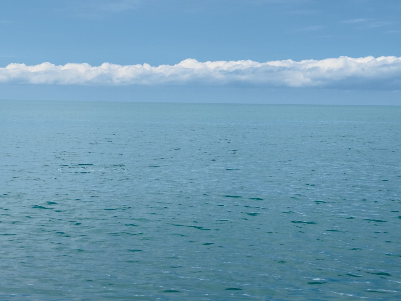 Морская вода в Геленджике соответствует нормам. С 15 мая еженедельно специалисты отбирают пробы морской воды. Для этого определено 22 точки мониторинга, из них 12 — прямо в акватории Геленджикской бухты. На сегодня отобрано более 1200 проб морской воды, в том числе и на нефтепродукты. Кубанские Новости