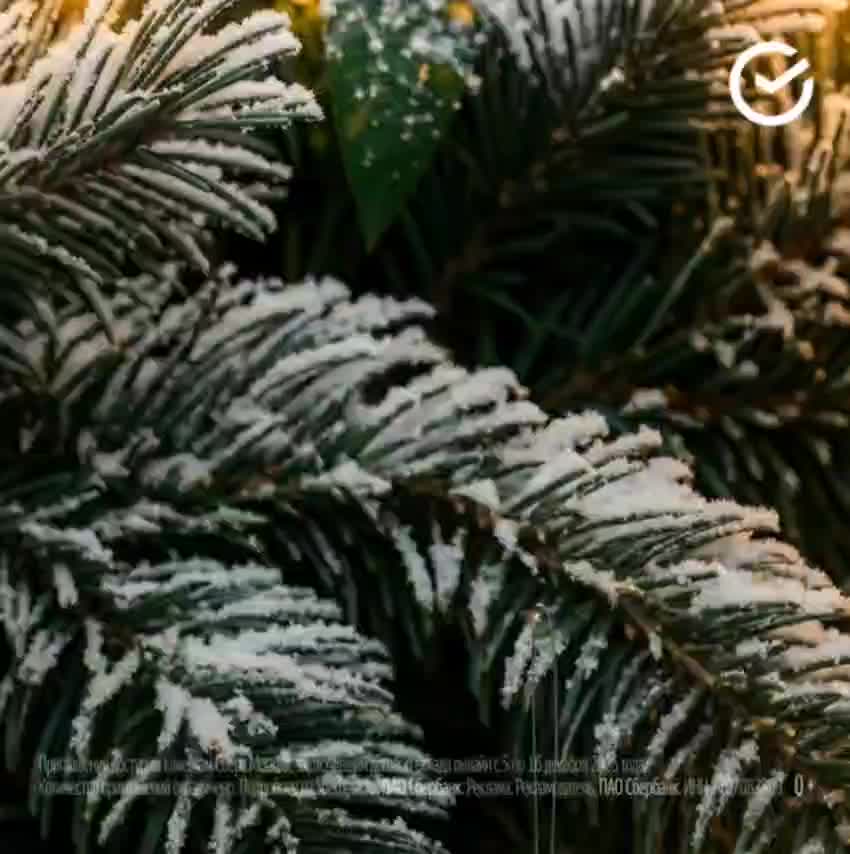 Сбер приглашает клиентов на новогоднее представление Щелкунчика в Большом театре