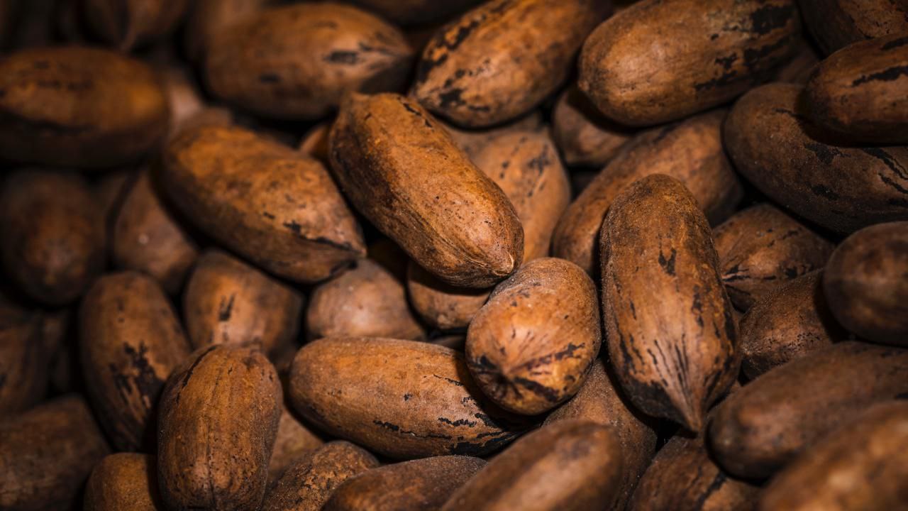 Стоимость тонны какао бобов опустилась ниже 4000 впервые с 2023 года пишет Bloomberg Цена мартовских фьючерсов в Нью Йорке 30 января в моменте упала на 5 9 до отметки 3931 за тонну минимума с ноября 2023 года Стоимость снизилась на фоне отчетностей о переработке какао бобов согласно которым спрос на них сократился из за длительного периода повышения цен за последние два года По данным агентства спад уже оказал влияние на страны производители В декабре 2024 года фьючерсы на какао бобы достигли рекордно высокого уровня из за плохого урожая в Западной Африке Ценовой шок побудил потребителей снизить потребление шоколада а производители конфет изменили рецептуру Сейчас цены упали примерно на 70 от своего пика Freepik Telegram Max