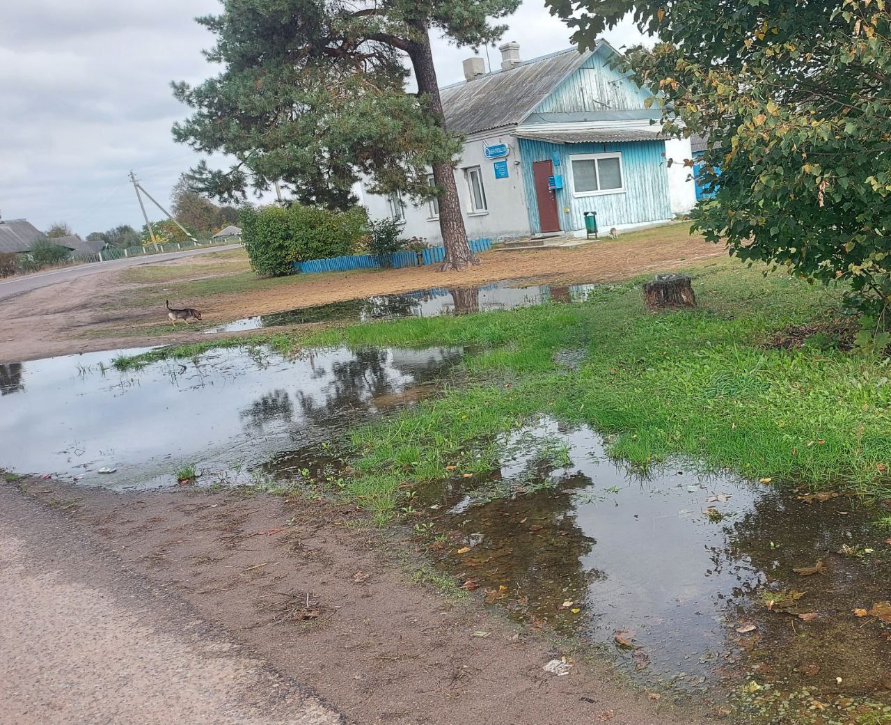 Наши подписчики сообщили, что на улице Октябрьская в агрогородке Забашевичи прорвало трубу.  Возле почты и Дома культуры стоят лужи.  --- Никто который день не торопиться решать нашу проблему, --- написала местная жительница.   Мы связались с председателем Гливинского сельсовета, который рассказал, что с этой проблемой они не раз обращались в Борисовводоканал, где пообещали в течении недели проблему решить.  ⏰Что ж, ждём.