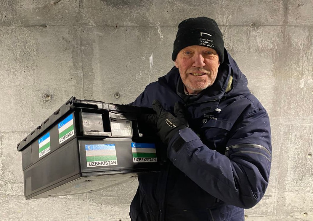 Узбекистан отправил более 20 образцов семян в норвежское Хранилище судного дня Узбекистан направил более 20 образцов семян сельскохозяйственных культур включая пшеницу дыню арбуз помидор перец баклажан морковь и лук в Банк всемирных семян расположенный на архипелаге Шпицберген в Норвегии Подробнее   anhor uz news uzbekistan 494 anhoruz Новости события мнения Мобильное приложение IOS Android