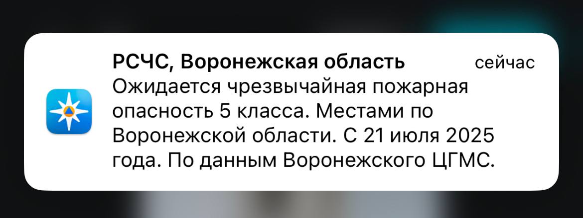 МЧС предупреждает о чрезвычайной пожарной опасности Большой воронежский. Подписаться