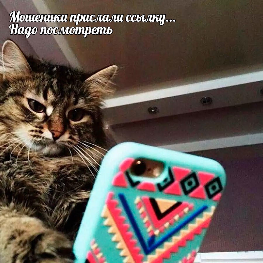Новая схема кражи Telegram-аккаунтов Для кражи телег админов каналов мошенники начали пользоваться новой функцией предложенных публикаций. Чаще всего аферисты отправляют в предложку ссылку на «интересный контент», которая на самом деле является фишинговой, рассказал «Известиям» эксперт по кибербезопасности Дмитрий Кирюшкин: «Если жертва перейдет по такой ссылке и введет код авторизации или установит вредоносное ПО, злоумышленник может перехватить управление ее каналом. В дальнейшем он сможет требовать выкуп за возврат доступа или использовать канал для обмана подписчиков». Также преступники принялись активнее регистрировать фишинговые сайты, адреса которых маскируются под связанные с Telegram. Подпишитесь на «Абзац» Добавьте «Абзац» в ленту «Дзена»