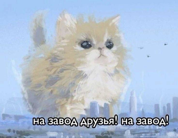 Отправлять на завод собирающуюся в торговых центрах молодёжь предложили в Госдуме По словам депутата Толмачёва массовые сборища молодых людей на фуд кортах в торговых центрах это следствие отсутствия достойных альтернатив Чиновник предлагает развернуть сеть комфортных территорий для досуга в студенческих кампусах и на заводах Он уверен что это разом решит вопросы досуга и поможет создать рабочие места для молодёжи Подписывайся на нас в MAX