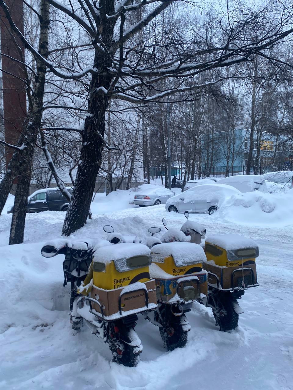 90 автомобилистов считают наличие СИМ на дорогах аварийно опасным Еще 71 полагают что движение этих транспортных средств должно быть организовано вне общего автомобильного потока Но желание обезопасить транспортную среду для всех видов транспорта разделяют не только водители так 77 опрошенных россиян считают что городская инфраструктура пока не обеспечивает безопасные условия движения цитирует ТАСС исследование Института общественного мнения Анкетолог Данные выводы не вызывают никаких сомнений равно как и то что пешеходы наверняка ответили бы так же и про самокаты на тротуаре и тем более про курьерские электровелосипеды Остается надеяться что проблема с передвижением доставщиков наконец сдвинется с места после декабрьской встречи СПЧ с Президентом