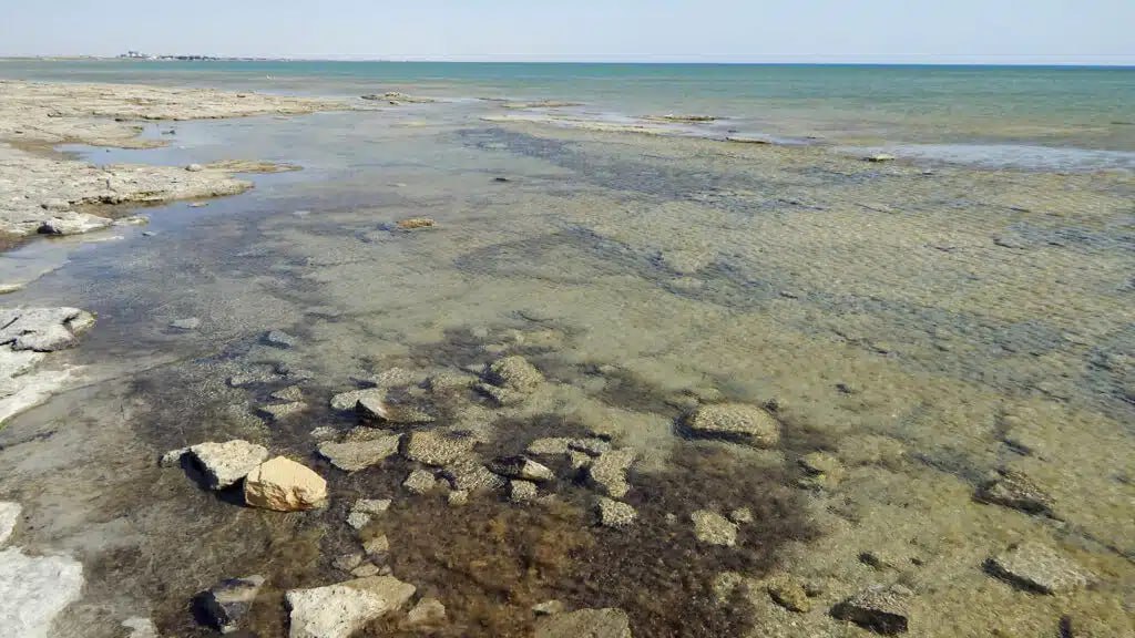 Уровень Каспия достиг исторического минимума На 2025 год уровень Каспийского моря составляет минус 29,21 метров по Балтийской системе высот. Данный показатель является историческим минимумом. «Среднегодовое снижение составляет порядка 9,6 сантиметра в год», – отметили в Министерстве водных ресурсов Казахстана. По оценке специалистов, при сохранении климатических и водохозяйственных тенденций к 2030 году показатель снизится до отметки в минус 30,2 метра по Балтийской системе высот.