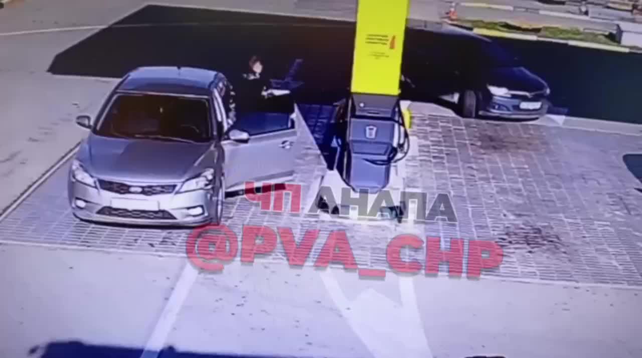 Полиция Анапы проверяет наезд на собаку на автозаправке