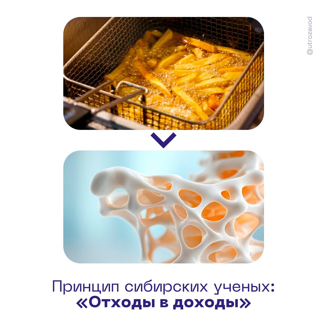 Каркасы для восстановления костей из промышленных отходов. Лолшто? Мы тоже не сразу поверили, но специалисты Сибирского федерального университета разработали уникальную технологию, которая понравится и инженерам, и экологам. Они создают каркасы из биополимеров, которые производят особые бактерии. Для питания бактерий необходимы любые органические отходы с углеродом. Например, отработанный фритюрный жир или отходы рыбопереработки. Биосовместимые каркасы в медицине применяются для восстановления костей после тяжелых переломов с раздроблением и потерей костной ткани. Кажется, в Сибири раньше наступает не только новый день, но и будущее в целом. #ученыепридумали #медицина начинается с завода