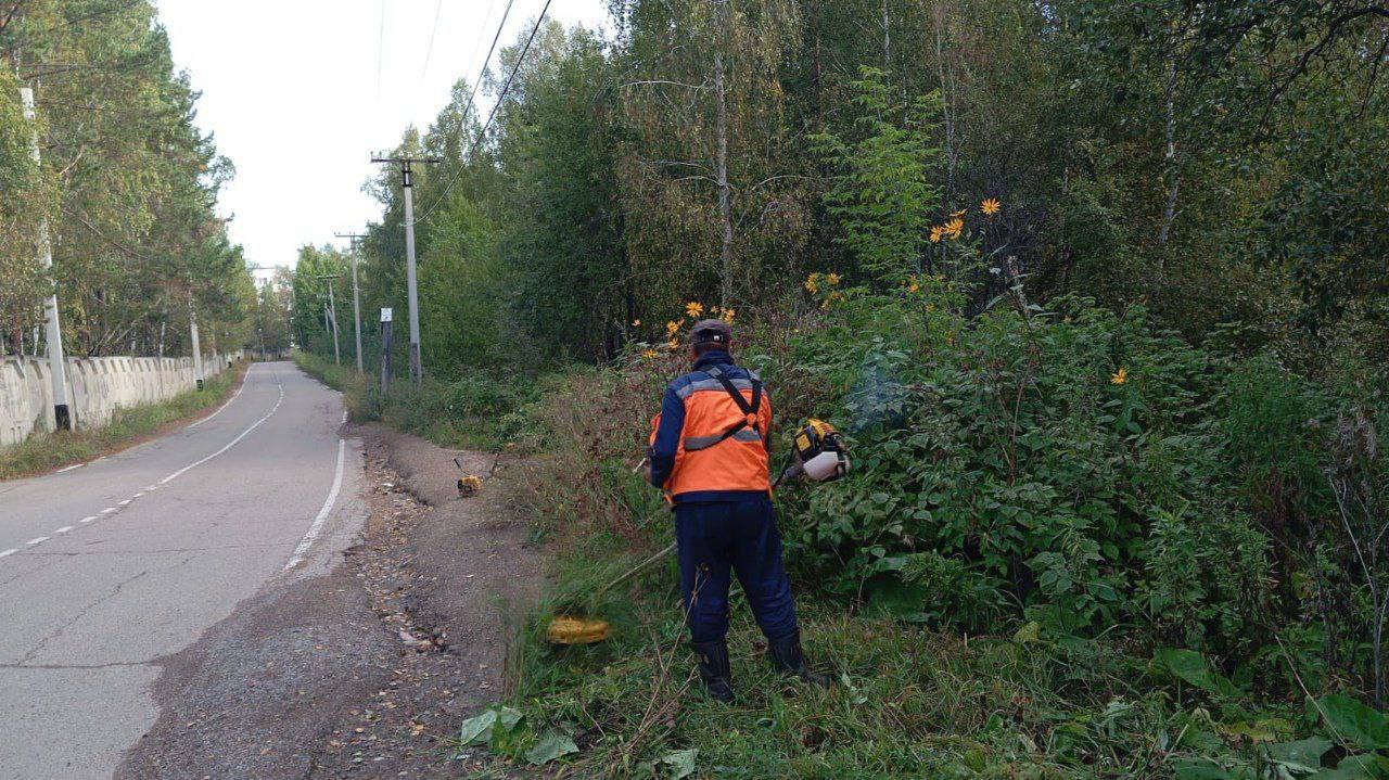 Покос травы продолжается во всех районах Иркутска.    По поручению мэра Руслана Болотова в теплое время года подрядчики в областном центре ежедневно приводят в порядок газоны вдоль тротуаров и дорог с использованием роторных косилок и ручного инструмента.  – За последние сутки такие мероприятия состоялись на участках улиц Сурнова, Ширямова, Радищева, Дзержинского, Богдана Хмельницкого, Грязнова, Красноармейская, Лапина, Киевская, Литвинова, Чехова, 8-го Марта, Бабушкина, Улан-Баторская, Полярная, Челнокова, в переулках Восточный, Ольхонский и Пионерский. Параллельно убираем мусор, чтобы комплексно облагородить зеленые зоны, – отметил руководитель МУП «Иркутскавтодор» Василий Ефремов.   Помимо этого, дороги очистили на улицах Рабочего Штаба, Напольная, Ремесленная, Братская, Урожайная, Ленская, Карпинская, Ушаковская, Детская, Сарафановская, Рабочая, Нижняя Набережная, Марата, 5-й Армии, 3-го Июля, Желябова, Академическая, Лермонтова, Маяковского, Джамбула, 2-я Железнодорожная, Розы Люксембург, Терешковой, Чайковского, Игошина, на Знаменской развязке.   Также на различных улицах вручную и с помощью спецтехники подрядчики регулярно очищают остановки, заездные карманы, пешеходные переходы.