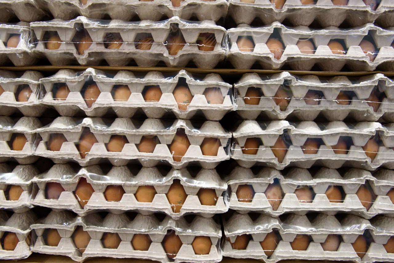 Минпромторг планирует регулировать закупочные цены на основные продукты Минпромторг заявил о необходимости устанавливать отпускные цены производителей, рассказала ТАСС зампред комитета Госдумы по аграрным вопросам Юлия Оглоблина. По её словам, вопросы по справедливому ценообразованию от аграриев звучат постоянно. Так, сейчас некоторые сети закупают яйцо по цене 30 рублей за десяток, при этом себестоимость составляет 60 рублей. "Мы видим, что за последнее время все чаще возникает "эффект качелей", когда закупочная цена на продукцию то резко падает, то вдруг растёт. Это было и с картофелем, и с молоком, и с маслом. Цены должны быть установлены исходя из текущих условий, себестоимости и рентабельности производителей", — отметила Юлия Оглоблина. Сергей Ермохин/ "ДП"