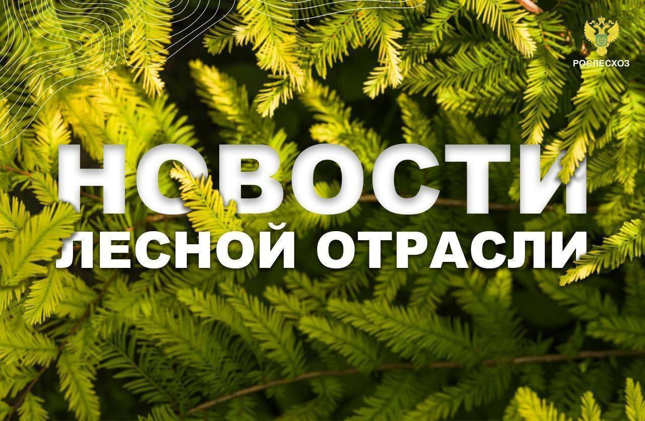 ТАСС: В РФ за I квартал в государственную собственность вернули 4,2 тыс. га лесов Вести-Амурская область: Три миллиона сеянцев для восстановления амурских лесов планируют вырастить в теплицах области Известия: В Московской области начались работы по оздоровлению лесов Красный Север: Ямал помог Волновахе провести акцию «Сад памяти» Forestcomplex: В Архангельске развивают технологию изготовления биоразлагаемых кассет для лесовосстановления