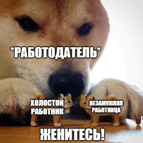 Семьей сотрудников займутся работодатели Руководителям предлагают сажать одиноких мужчин и женщин рядом друг с другом «для создания комфортных условий работы». С такой инициативой выступил депутат Брянской областной думы, председатель общероссийского общественного движения «Россия православная» Михаил Иванов. По его мнению, это создаст условия для знакомств на рабочих местах и поможет в решении демографических проблем страны. «Если мы хотим улучшить демографическую ситуацию, необходимо использовать этот потенциал. Сегодня у нас есть четкие санитарные нормы организации рабочих мест, но почему бы не добавить к ним социальную составляющую? Речь не идет о принуждении или нарушении личных границ. Мы говорим о разумном подходе: если в коллективе есть незамужние девушки и неженатые мужчины, почему бы не создать для них больше возможностей познакомиться в комфортной обстановке?» – сказал он «Абзацу». Иванов напомнил о позитивном опыте советского прошлого, когда многие семьи создавались на производстве. Предложение, по его мнению, могло бы стать частью комплексной демографической политики. Подпишитесь на «Абзац» Добавьте «Абзац» в ленту «Дзена»